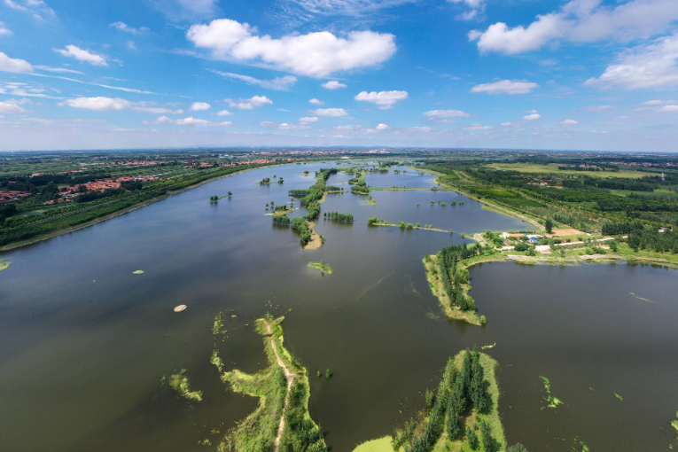 水清草绿!大沽河生态基流基本恢复