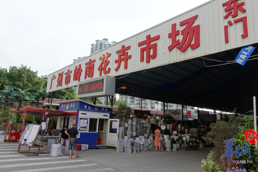再见也将再见!岭南花卉市场今日搬迁