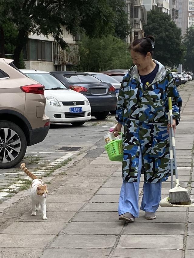 盲目投喂不可取！北京90后女孩帮700多流浪猫回家休闲区蓝鸢梦想 - Www.slyday.coM
