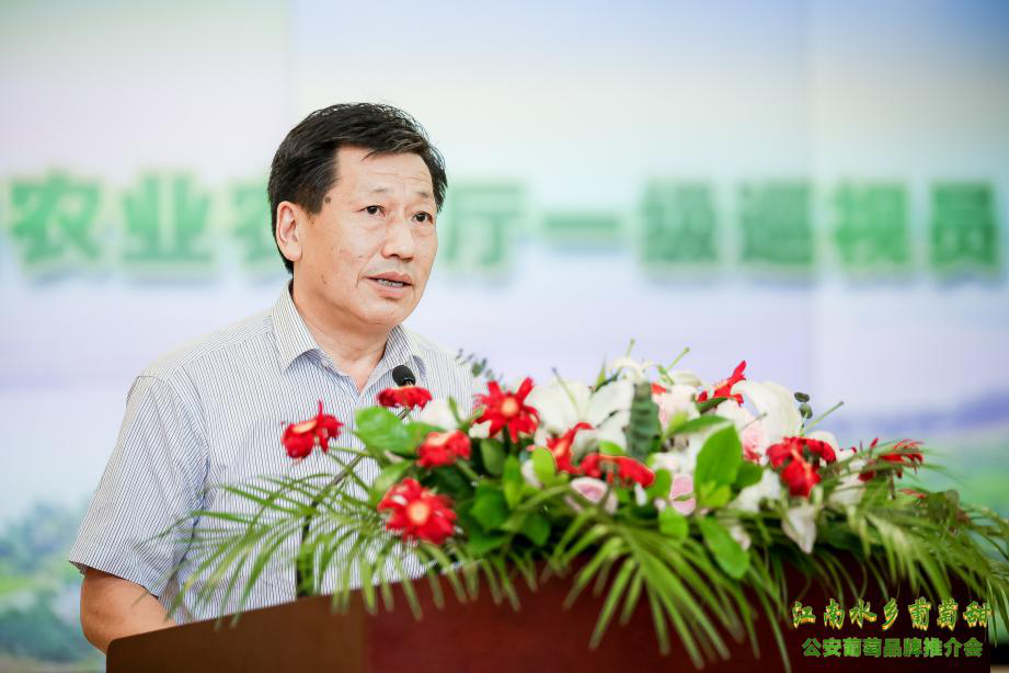 湖北省农业农村厅一级巡视员张桂华