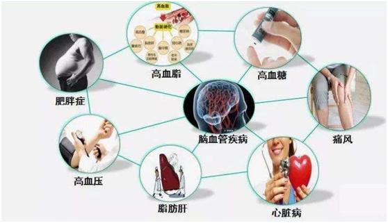代谢性疾病有哪些？是什么原因引起的？|代谢性|疾病|代谢_新浪新闻