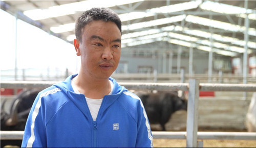 天上果洛邮储人|邮储银行|支行|扎西_新浪新闻