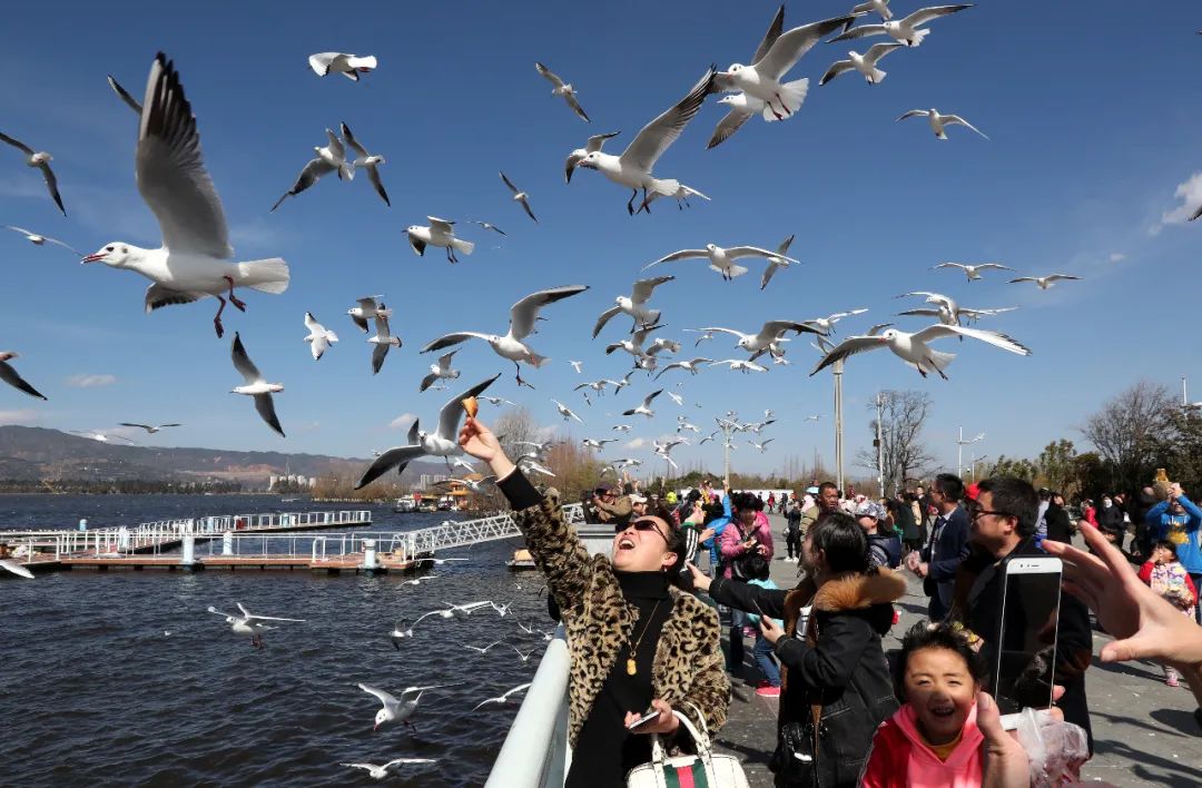 让云南人健康起来让想健康的人到云南来