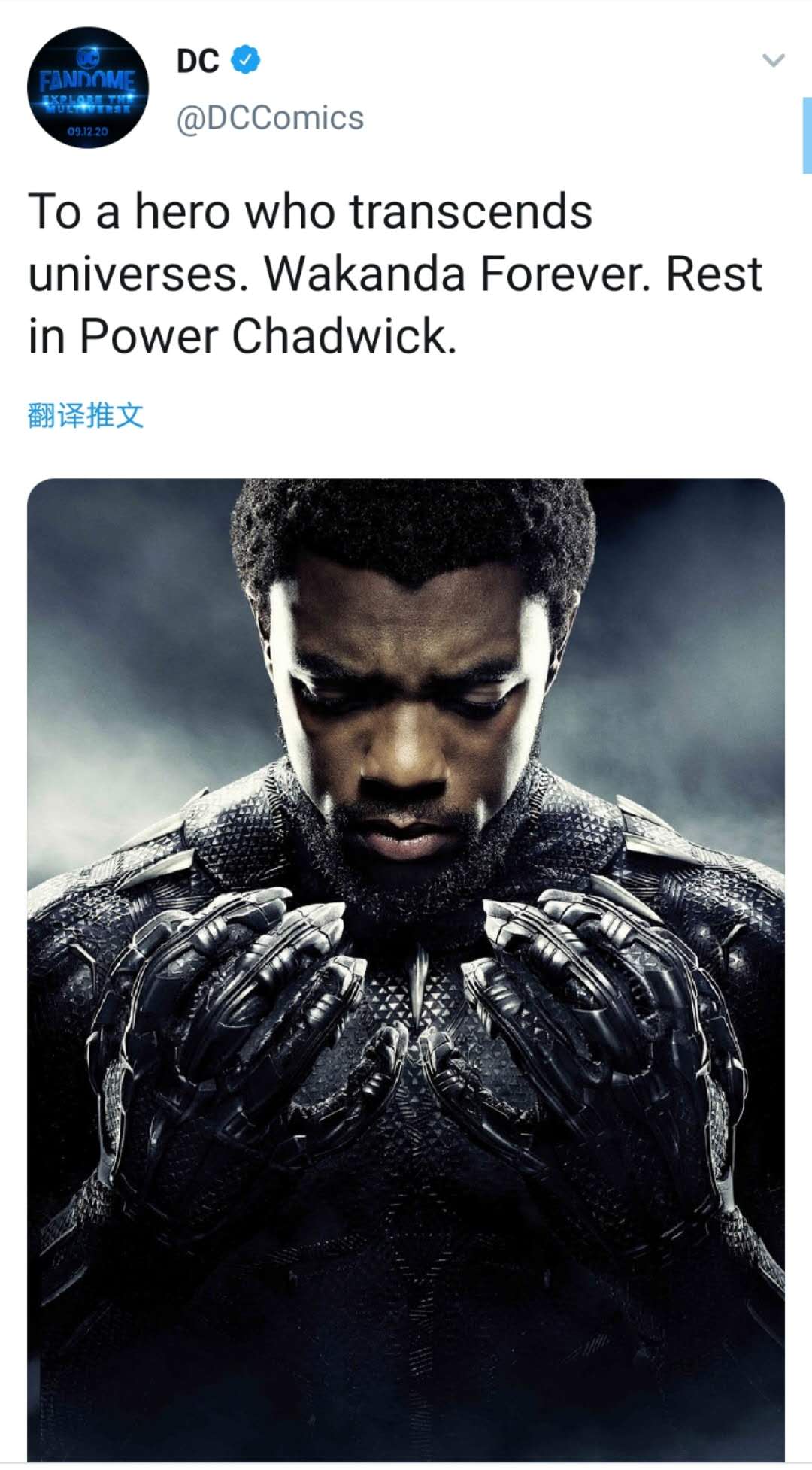 dc宇宙演员悼念黑豹强森谢谢你曾散发光芒