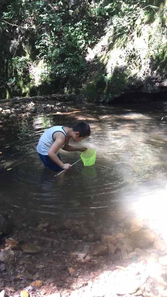 优秀作文选登小溪抓鱼欢乐多