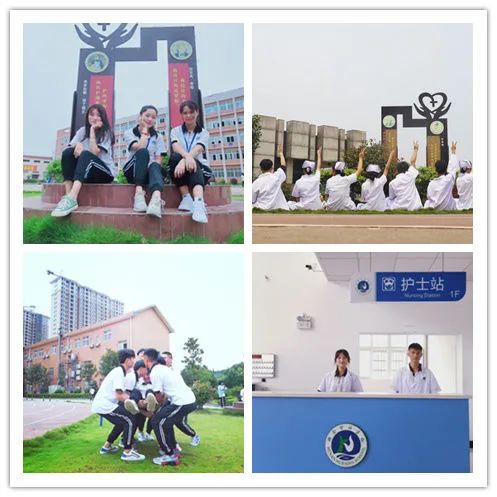 护理研究生学校排名_搭建院校沟通平台提高护理教学质量——我院召开