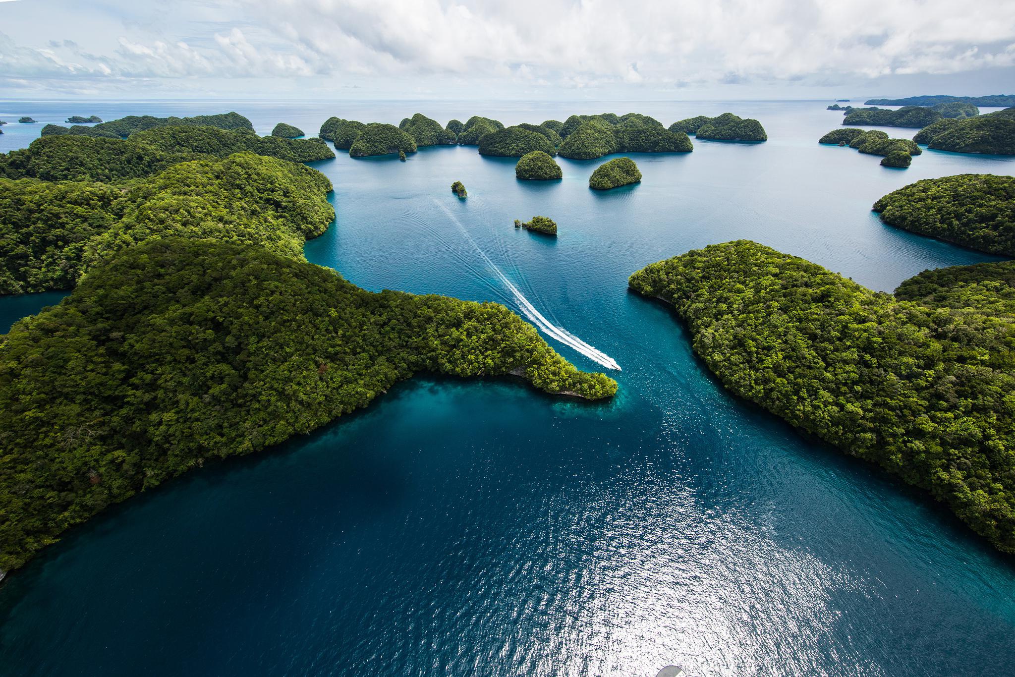 唱响新时代长江之歌生态立岛给黄金带镶上绿宝石