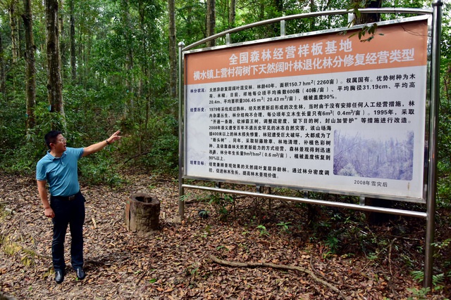 7月30日，江西省崇义县林业局局长黄夏晓向记者介绍森林经营情况。摄影/章轲