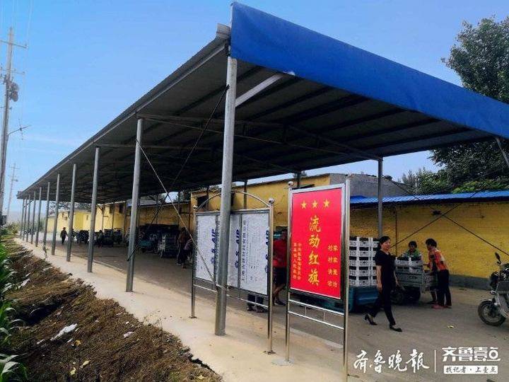 东阿县陈集镇于北村已发展以葡萄为主的果蔬大棚110个,占地近400亩