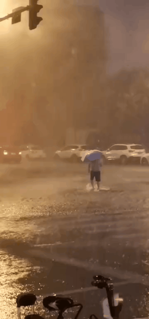 都干了些什么吧~还是先看看昨天天津开海来来来~这两天都给你解决了!