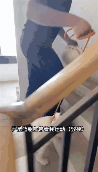 洪水中被救出的狗狗组团去看“救命恩人”，剧情好像不太对……休闲区蓝鸢梦想 - Www.slyday.coM