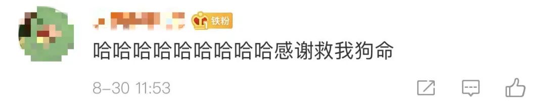 洪水中被救出的狗狗组团去看“救命恩人”，剧情好像不太对……休闲区蓝鸢梦想 - Www.slyday.coM