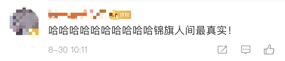 洪水中被救出的狗狗组团去看“救命恩人”，剧情好像不太对……休闲区蓝鸢梦想 - Www.slyday.coM