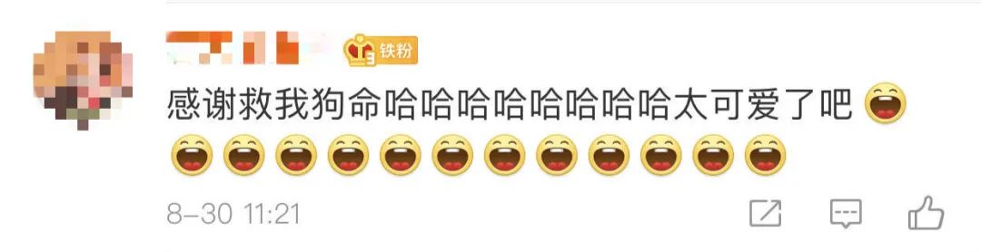 洪水中被救出的狗狗组团去看“救命恩人”，剧情好像不太对……休闲区蓝鸢梦想 - Www.slyday.coM