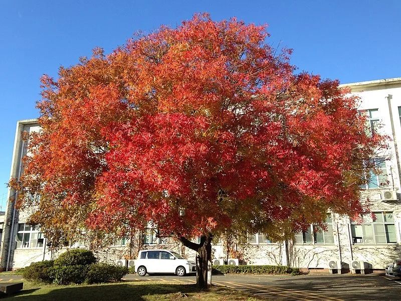 舟山天空变红真相揭秘 人类破坏自然的严重后果