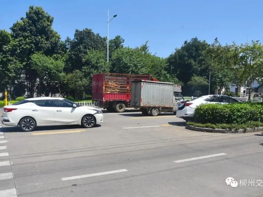 柳州男子过斑马线先遇礼让，后被撞飞！休闲区蓝鸢梦想 - Www.slyday.coM