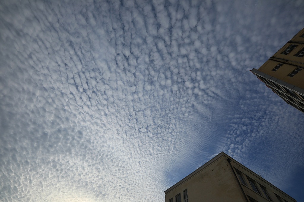 哈尔滨:鱼鳞云铺满天