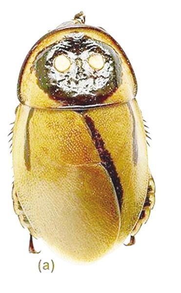 新闻搜索_新浪搜索_新浪网