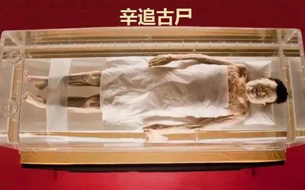 千年不腐女尸辛追