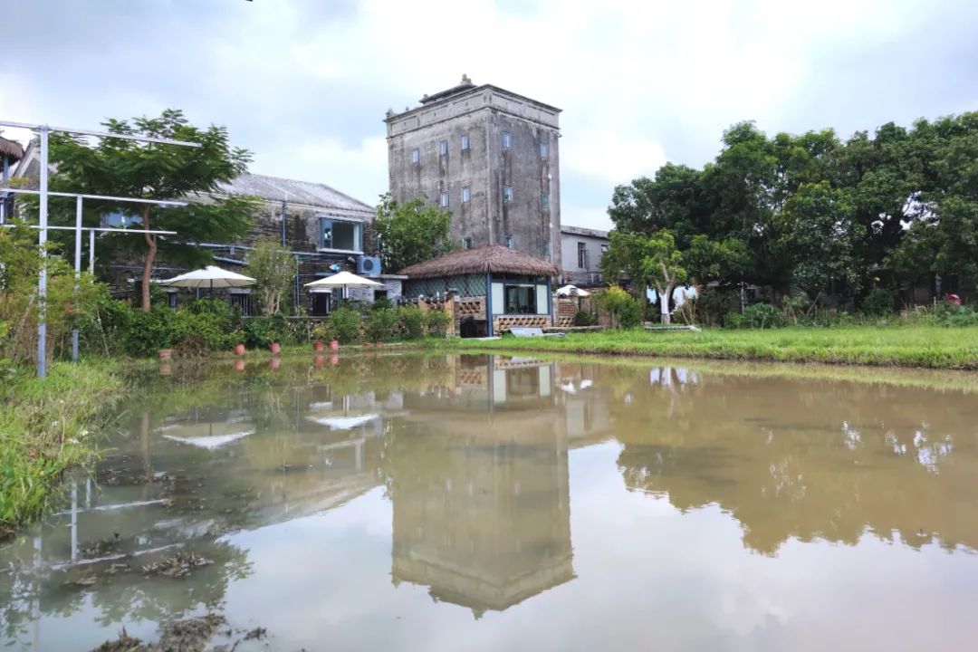 小康里的乡村文化生活丨台山市四九镇上南望岗村:民宿产业带旺乡村