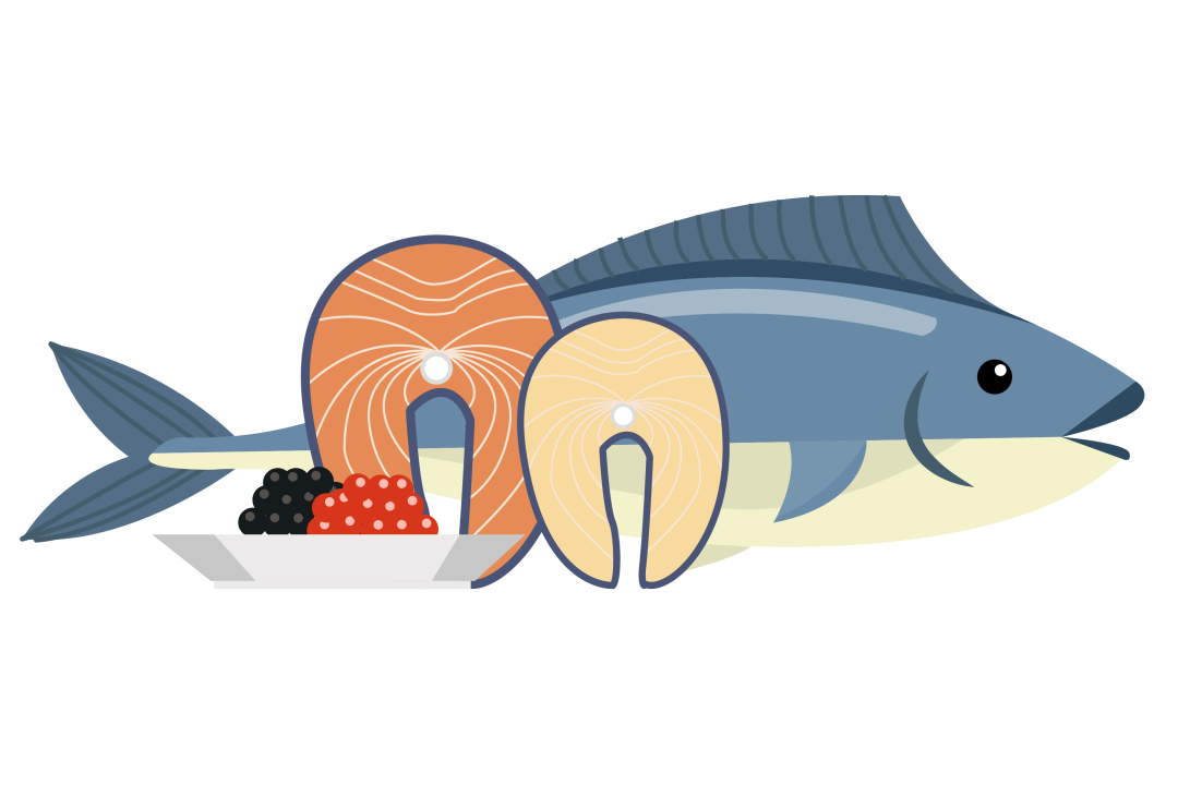 【北京疾控提醒您】如何安全食用水产品