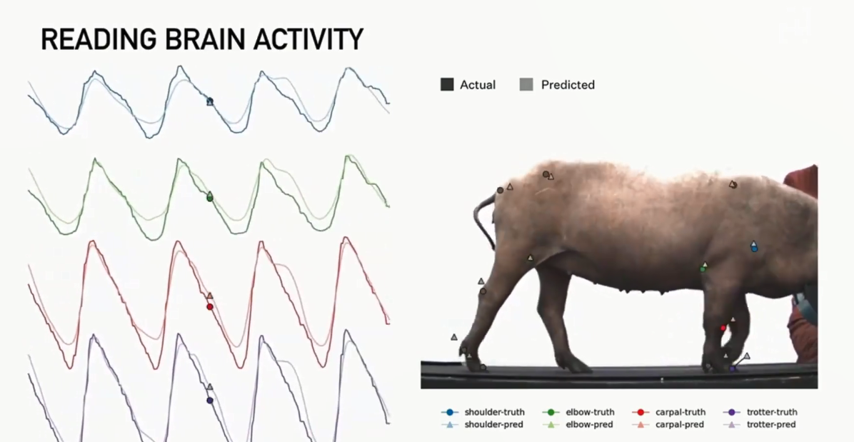电动车、可重复火箭之后 马斯克的脑机接口公司如何改变人类？