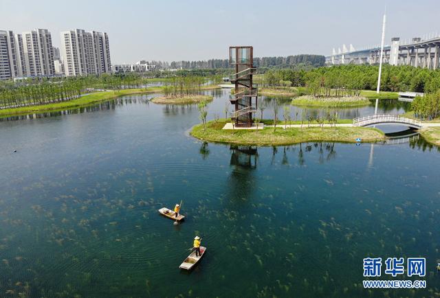 8月29日,航拍即将开放的芜湖朱家桥尾水净化生态湿地公园一期项目.