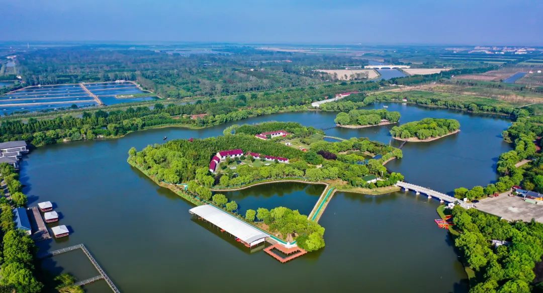 我和我的小康村崇明瀛东村昔日滩涂放牛场今夕大步奔小康