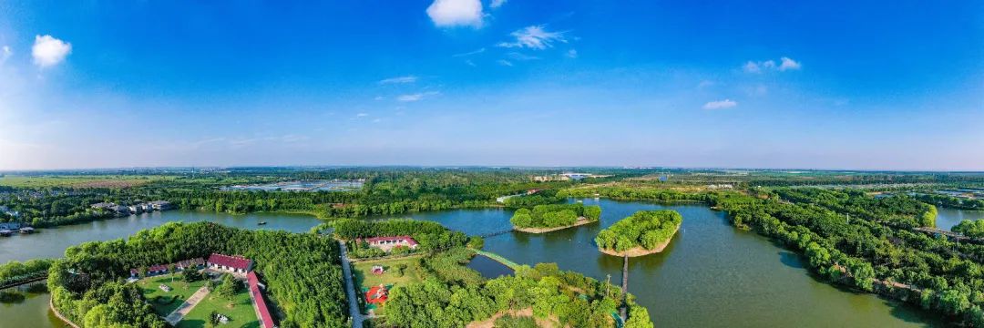 我和我的小康村崇明瀛东村昔日滩涂放牛场今夕大步奔小康