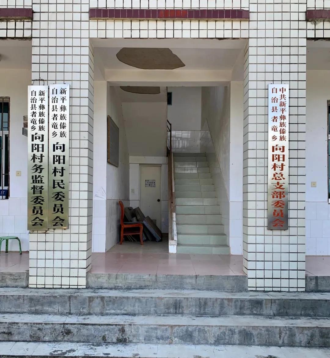 绿孔雀vs水电站的博弈,探访绿孔雀"最后一片完整栖息地"