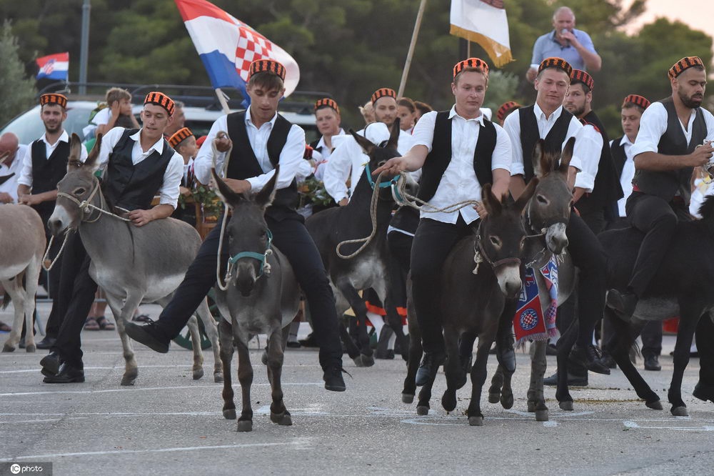 老外太会玩了!克罗地亚举行传统骑驴比赛争先恐后