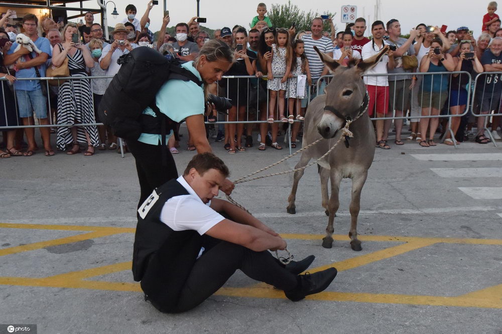 克罗地亚举行传统骑驴比赛争先恐后