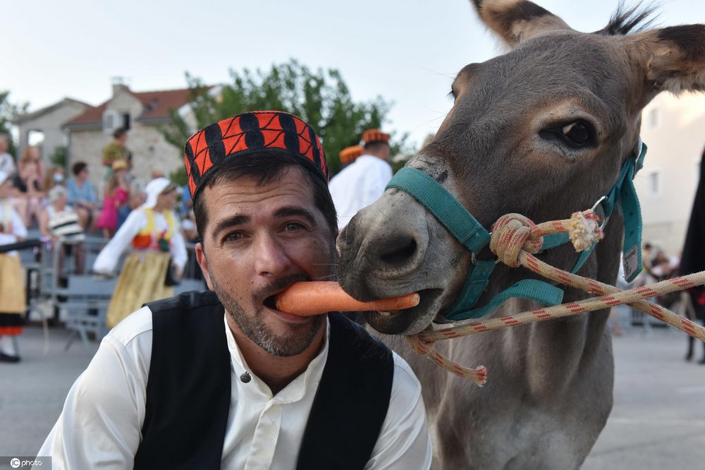 克罗地亚举行传统骑驴比赛争先恐后