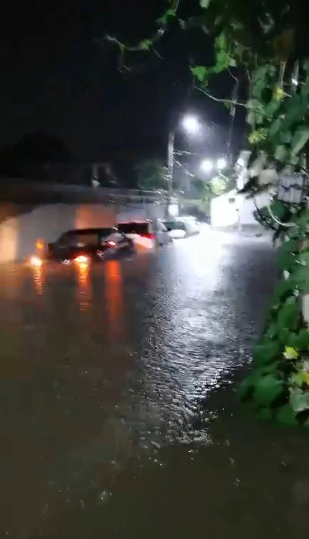 南阳多地遭特大暴雨袭击道路桥梁被毁坏