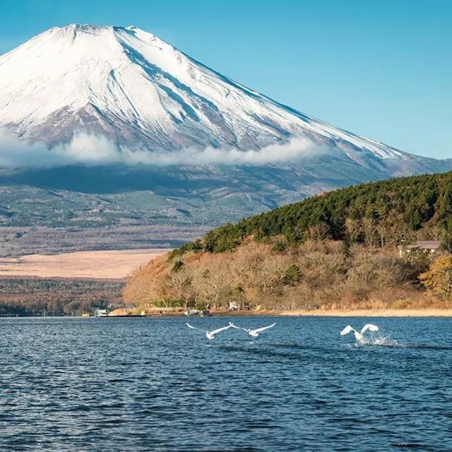 一生只拍富士山日本摄影师羽栗田的执念令人赞叹