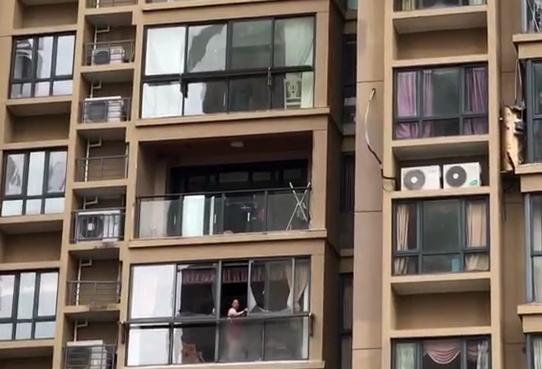 台风天关窗,浙江女子被吹落11楼!台风今晚过杭州,不能放松警惕!