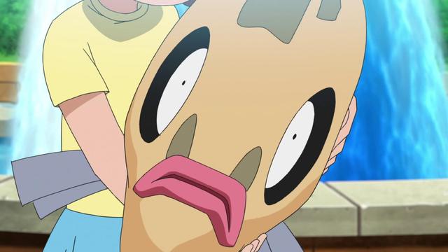 于是,智豪开始教丑丑鱼锻炼身姿体态,鲤鱼王,角金鱼也一起帮忙了.