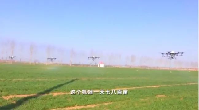 想破头也没想到!牛气冲天的北斗导航和种麦子有啥关系?