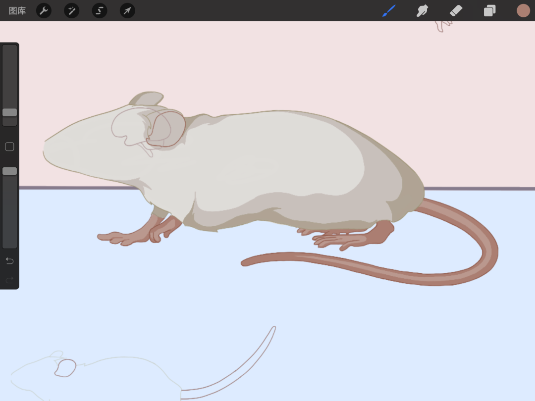 图层这节课我们来画中间部分图(pad版手绘软件)用到的是procreate软件