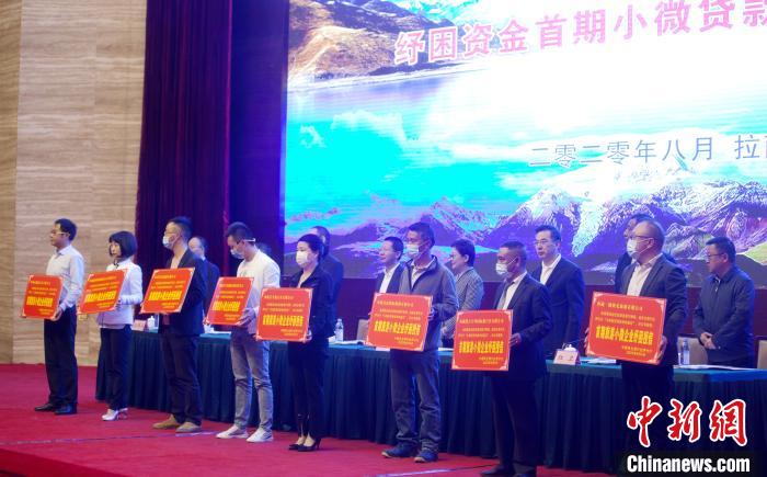 图为西藏首批8家旅行社获“首期小微旅游企业纾困授信”标牌。西藏自治区旅游发展厅提供