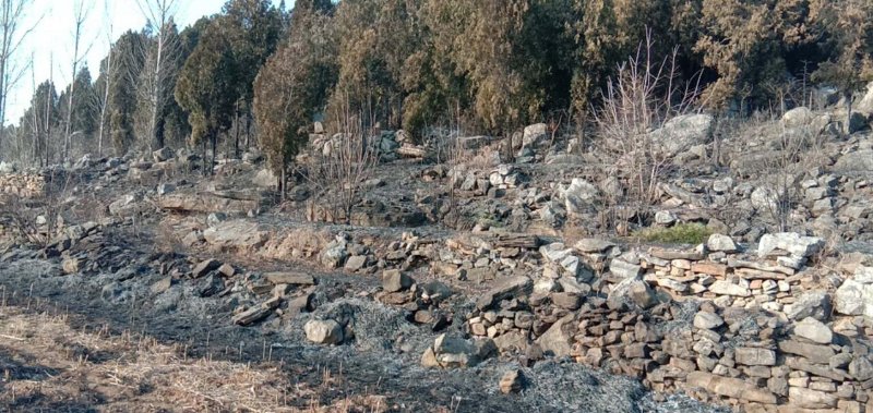 山东首例! 社区矫正对象见义勇为获减刑!