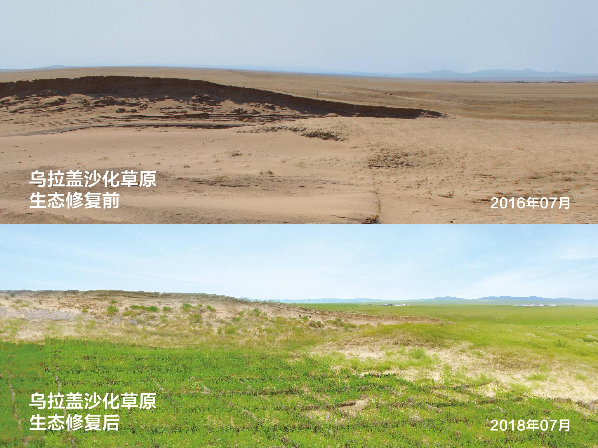 绿进沙退,让"风吹草低现牛羊"美景重现|内蒙古自治区_新浪新闻