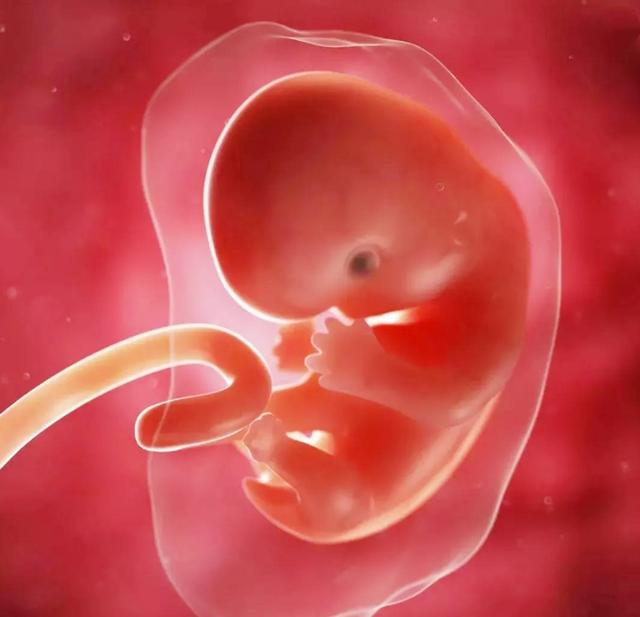 孕初期,胎儿这三个"地方"发育已成型,尤其第3个想改都改不了