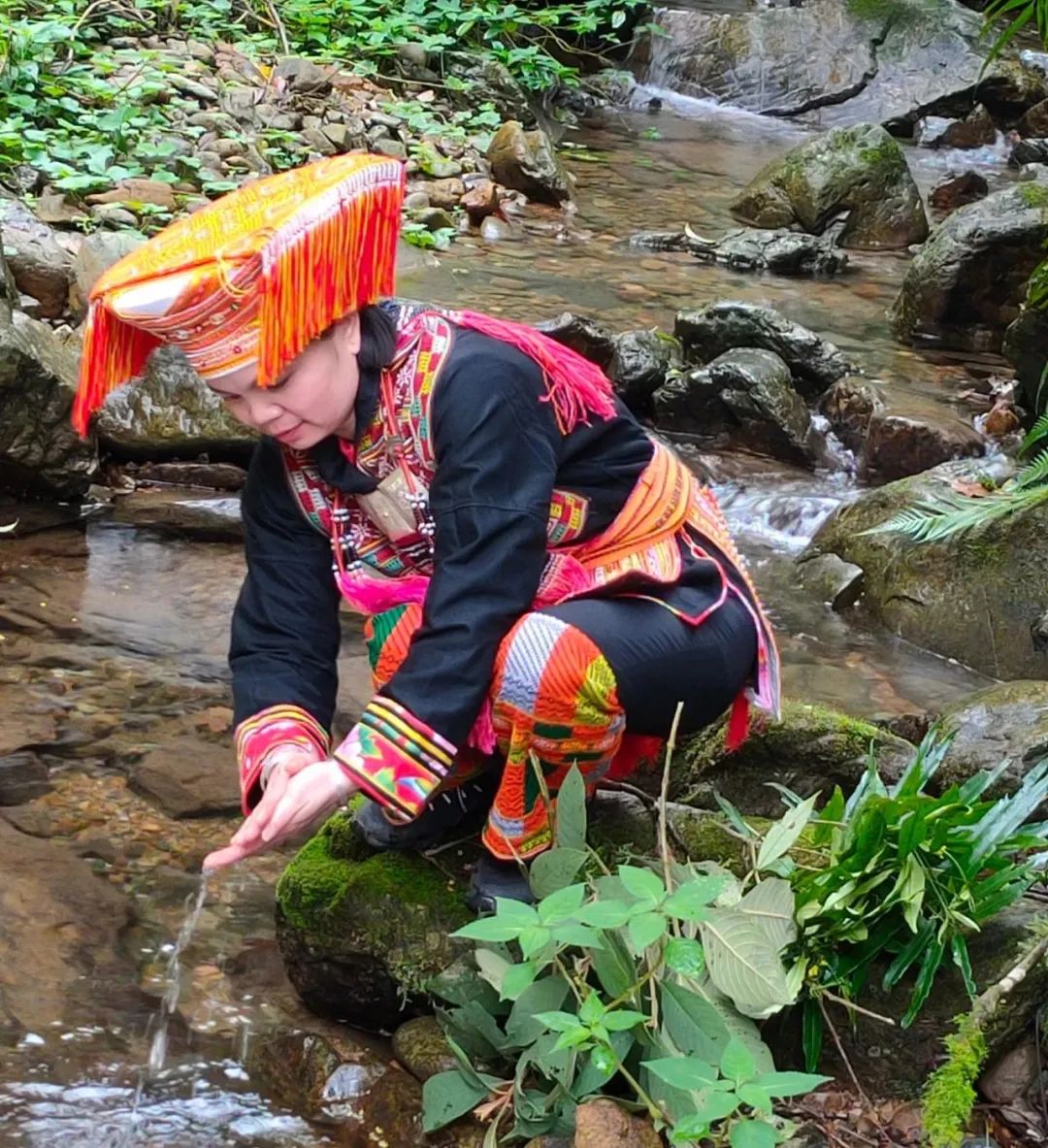 兰姐一家人世世代代都住在大瑶山,靠山吃山,以采药为生!