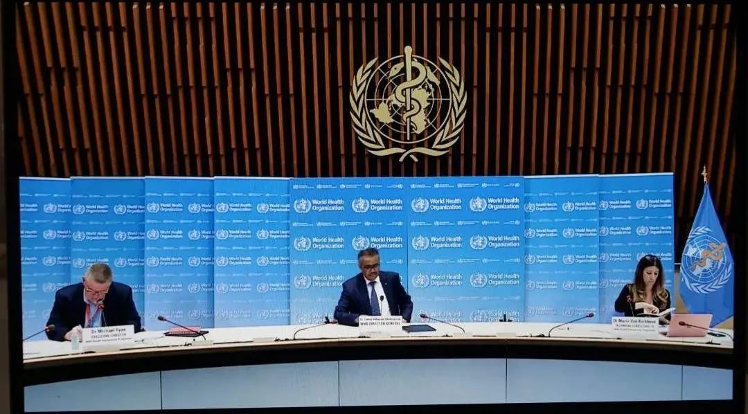 印度连续5天日增超5万!世卫组织两个判断冲上热搜