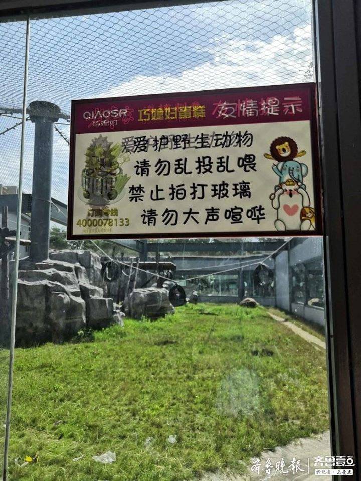 游客乱投喂动物屡禁不止,烟台南山公园呼吁游客文明游园