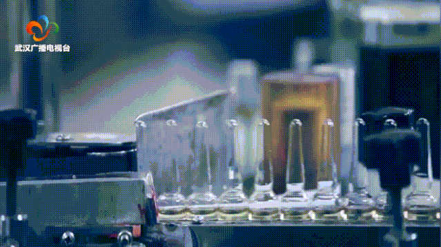 学先进 找差距 补短板 强举措 坚决完成经济发展年度目标任务