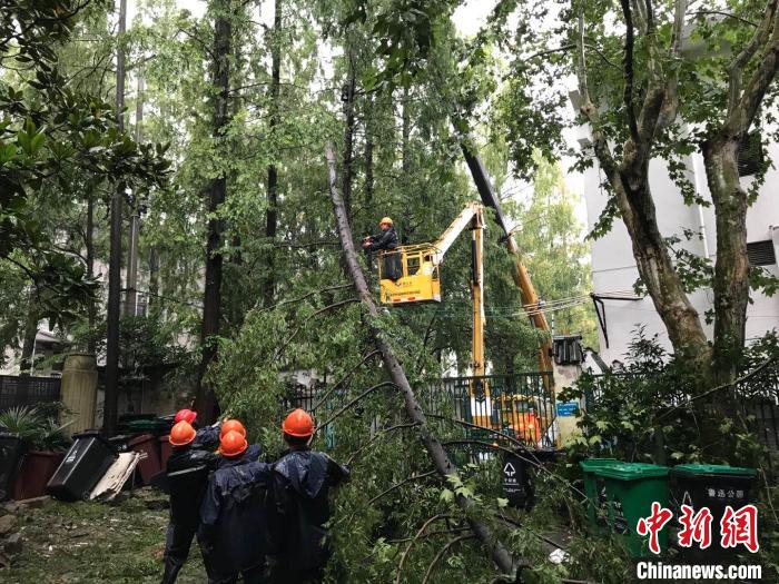 上海339支绿化防汛应急队伍处置树木倒伏共460余棵。　上海市绿化市容局供图