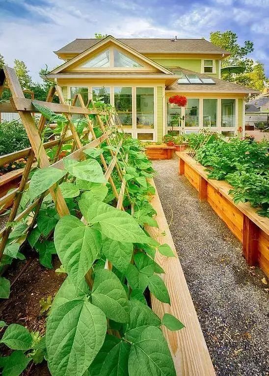 庭院|休闲区|种植区_新浪新闻