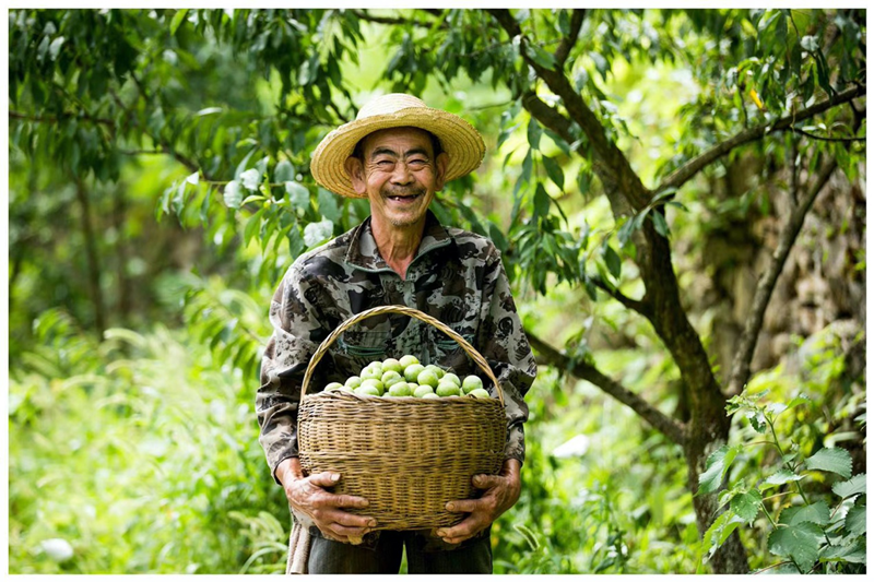 重庆山区的果农受灾了 度小满金融公益助农计划再出手